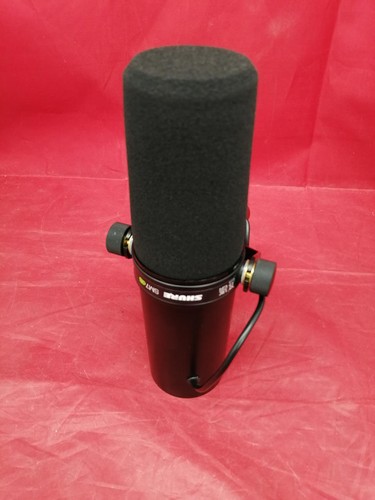 Microphone vocal dynamique